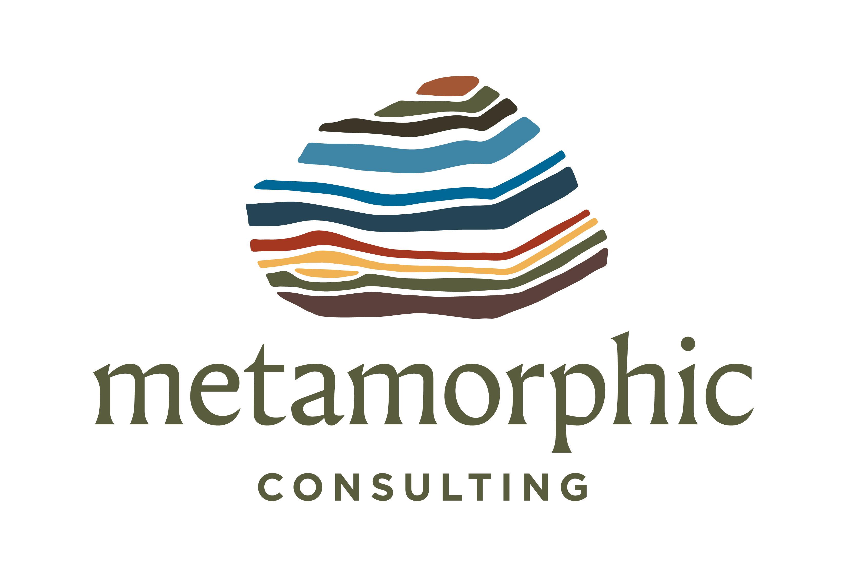Metamorphic Consulting